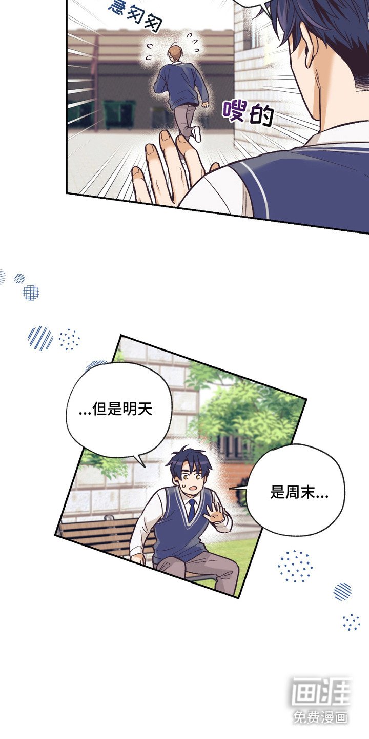 第14章：表白