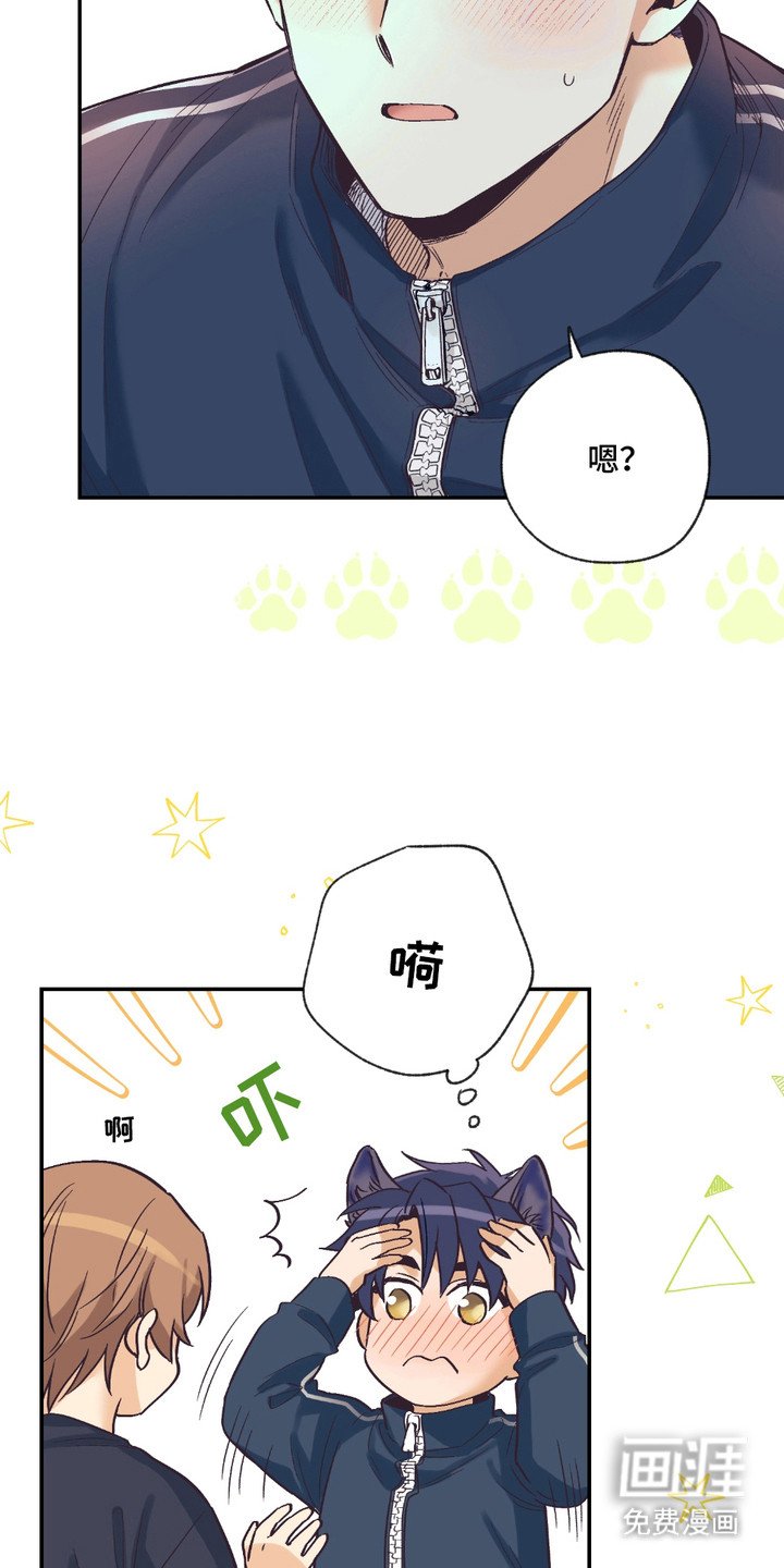 第16章：耳朵与尾巴