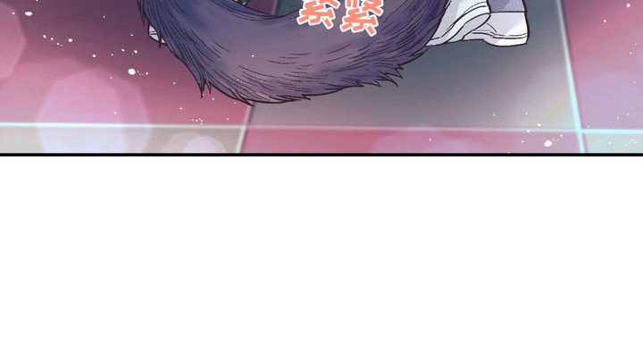 第16章：耳朵与尾巴