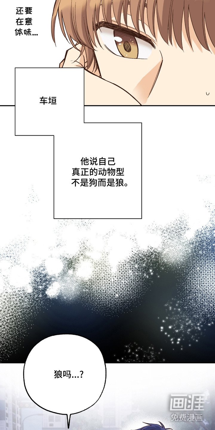 第17章：没有经验