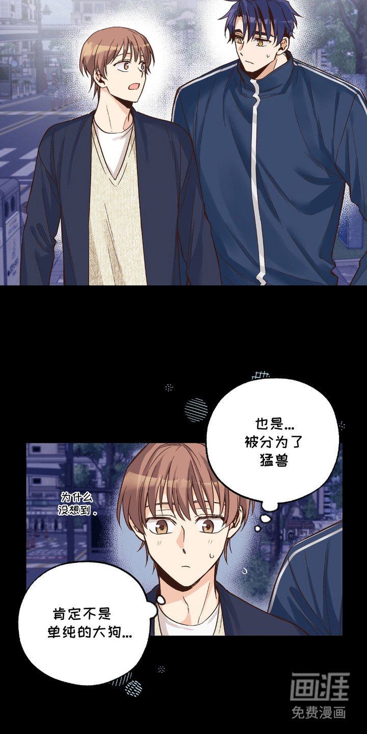 第17章：没有经验