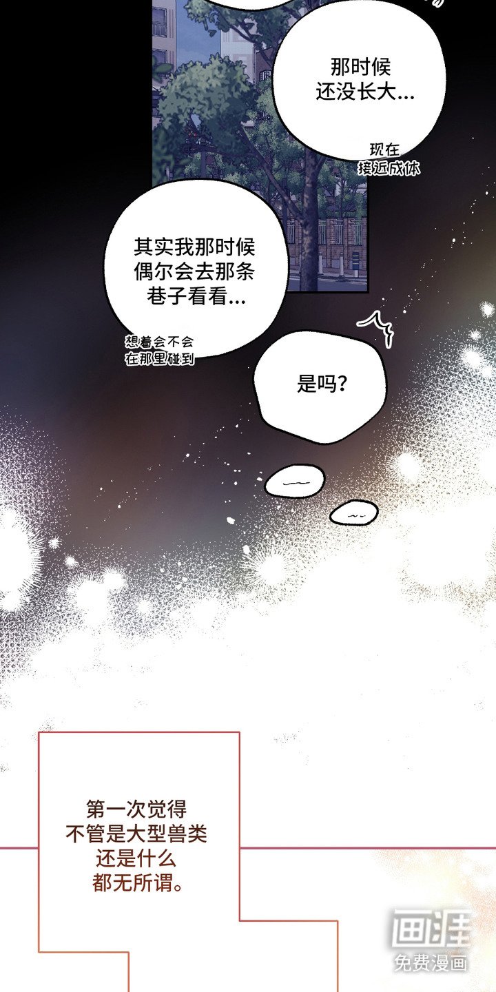 第17章：没有经验