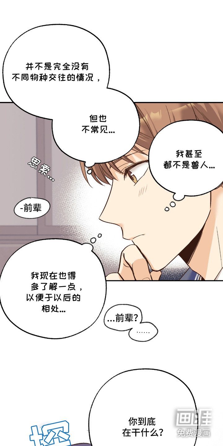 第17章：没有经验