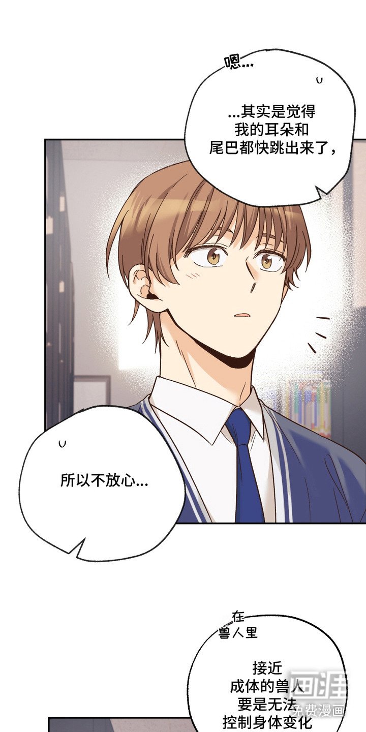第19章：非常喜欢（完结）
