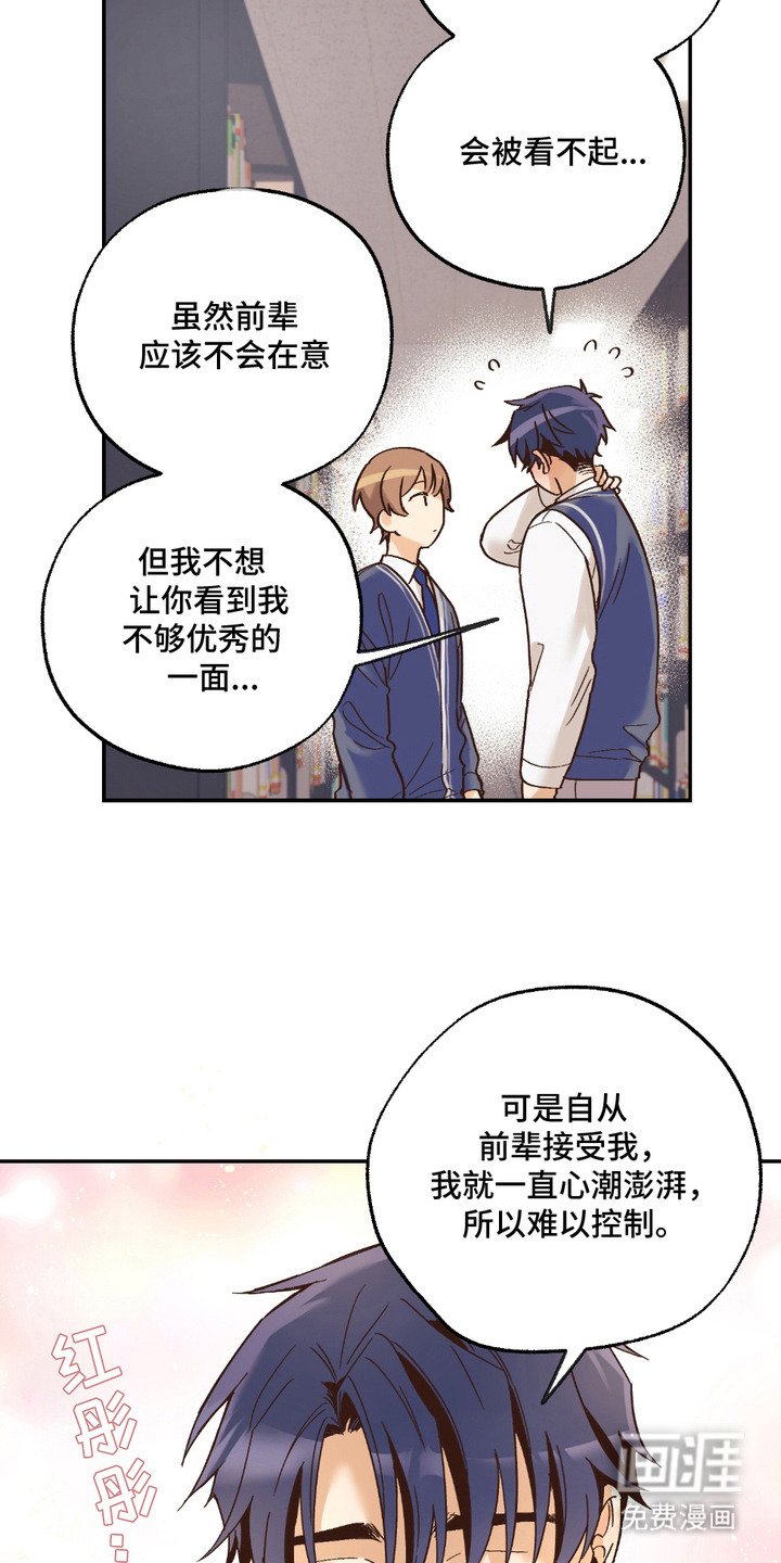 第19章：非常喜欢（完结）