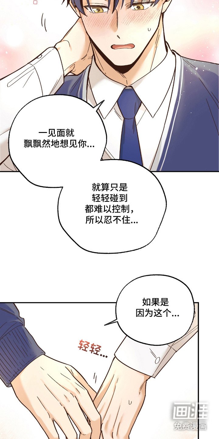 第19章：非常喜欢（完结）