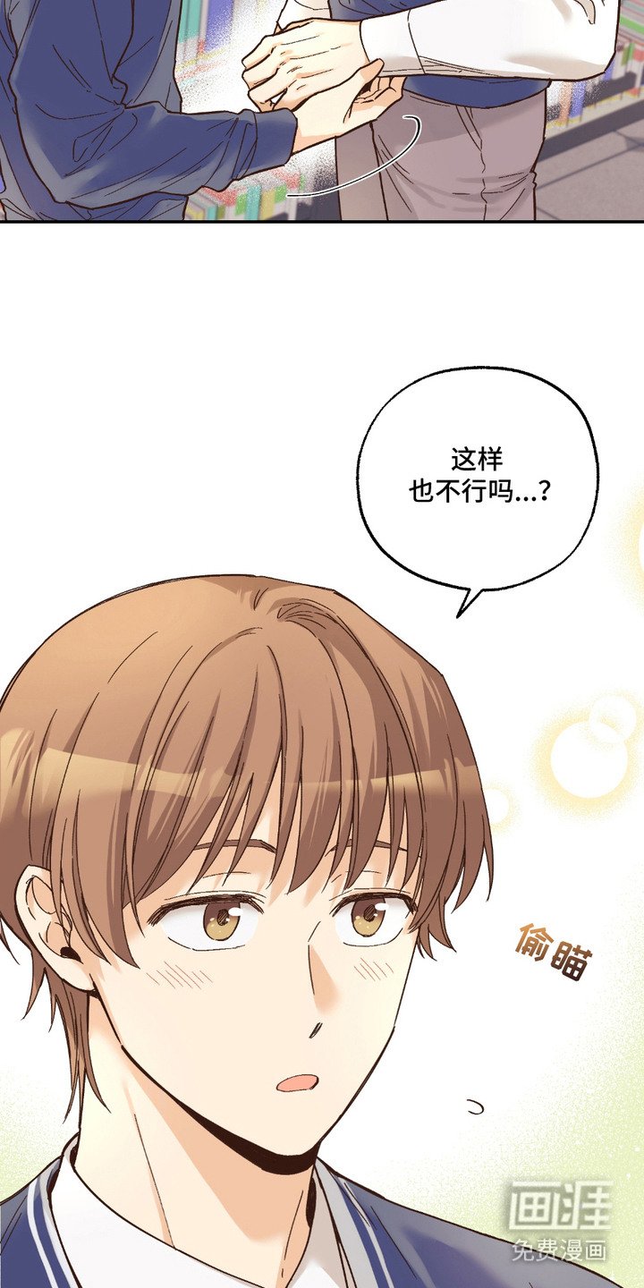 第19章：非常喜欢（完结）