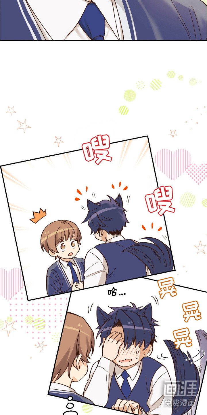 第19章：非常喜欢（完结）