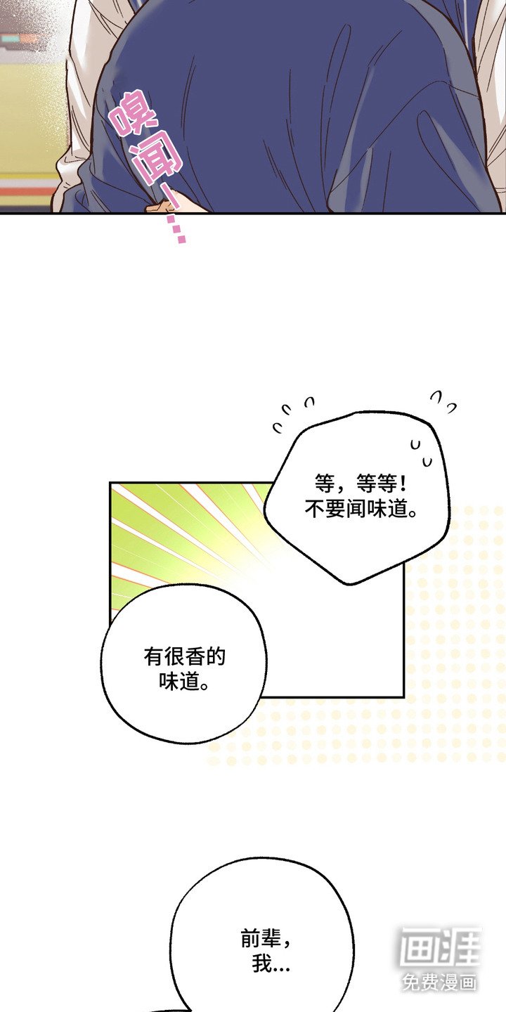 第19章：非常喜欢（完结）