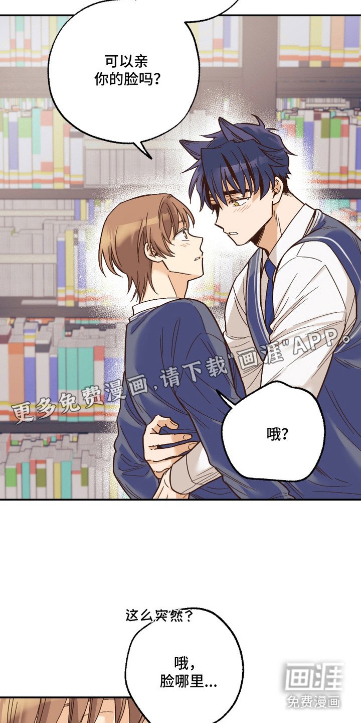 第19章：非常喜欢（完结）