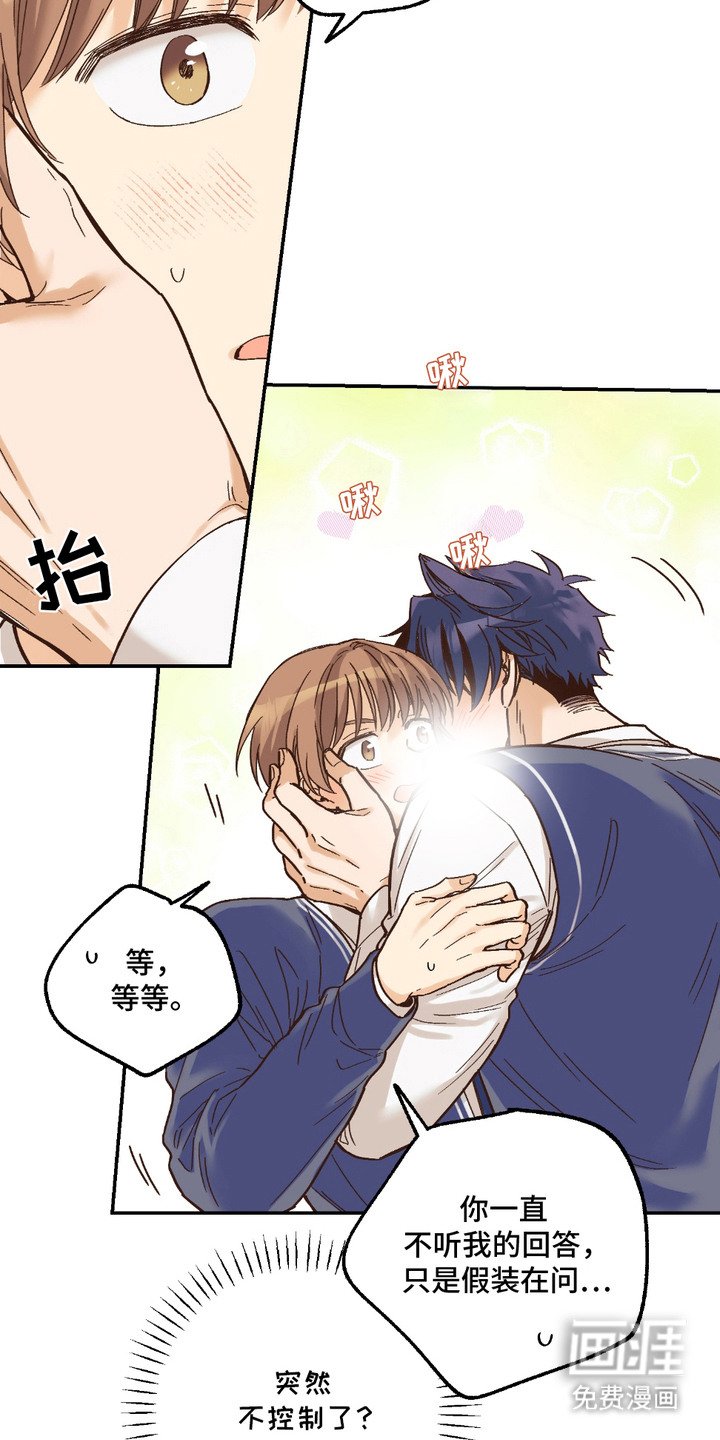 第19章：非常喜欢（完结）