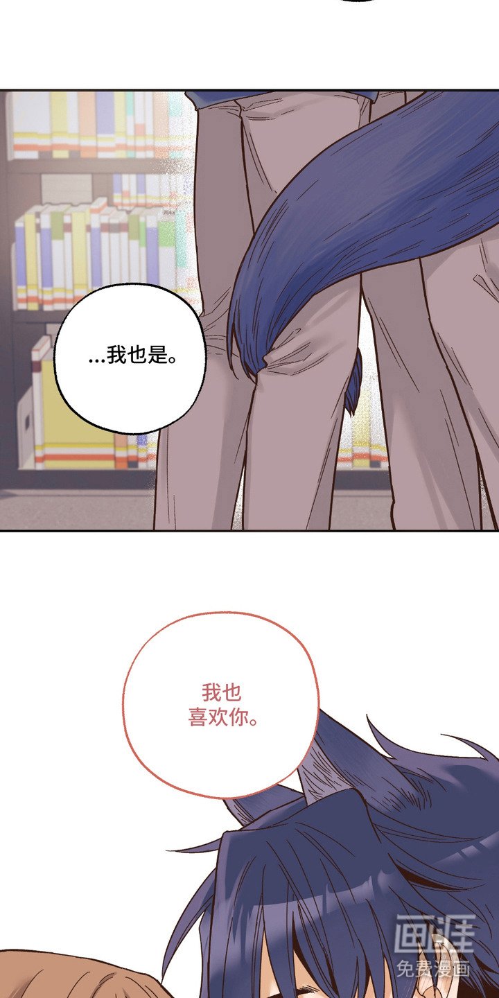 第19章：非常喜欢（完结）
