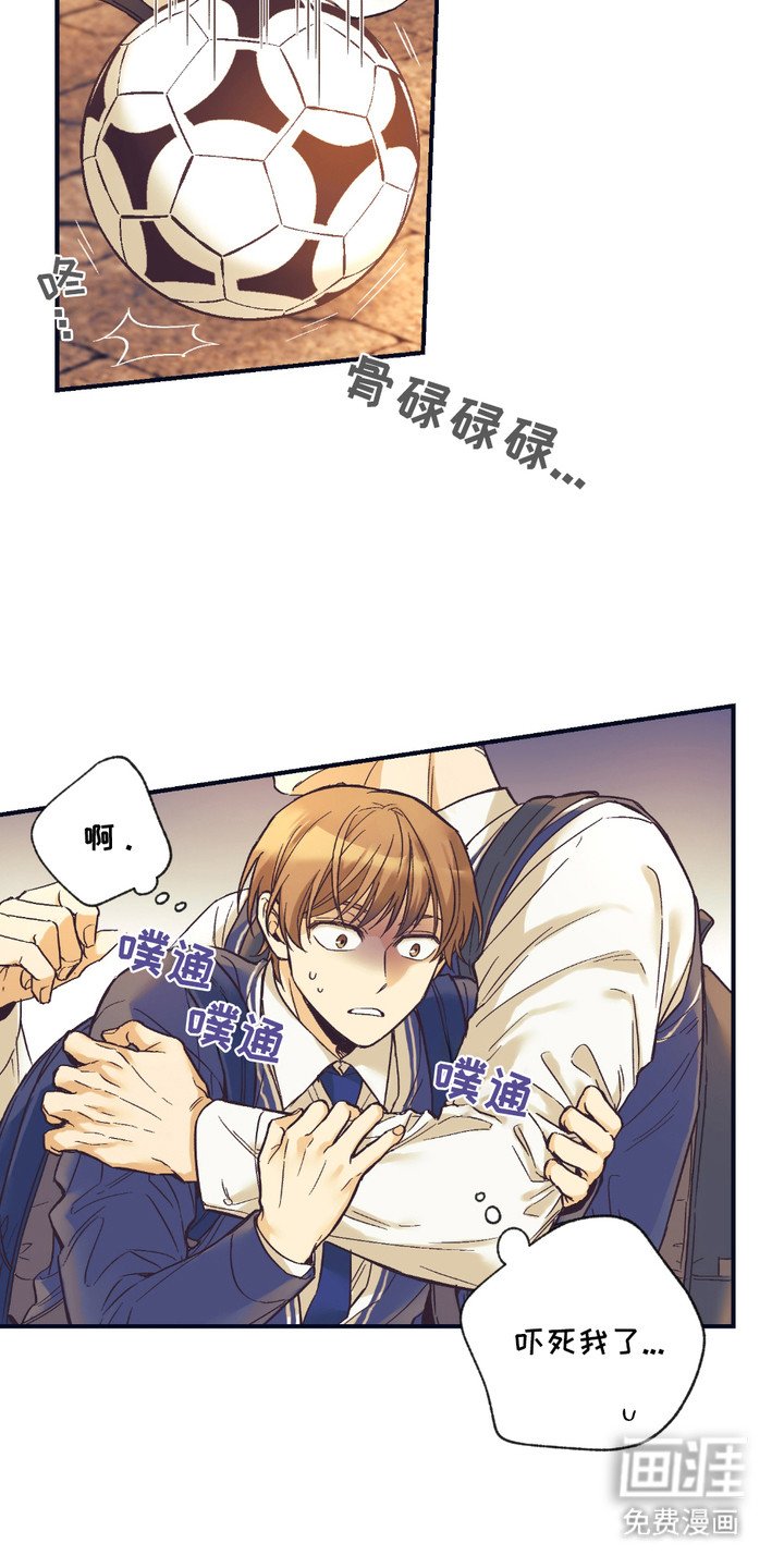 第5章：身体结实