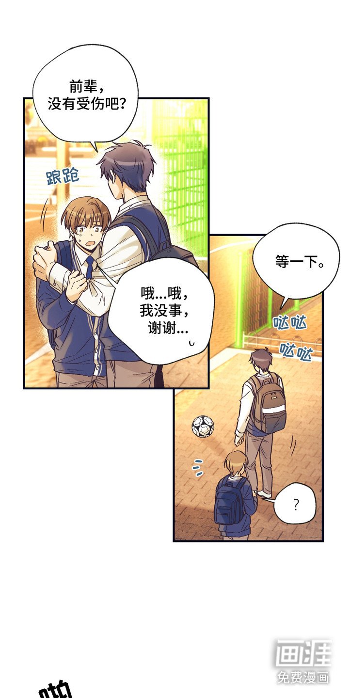 第5章：身体结实