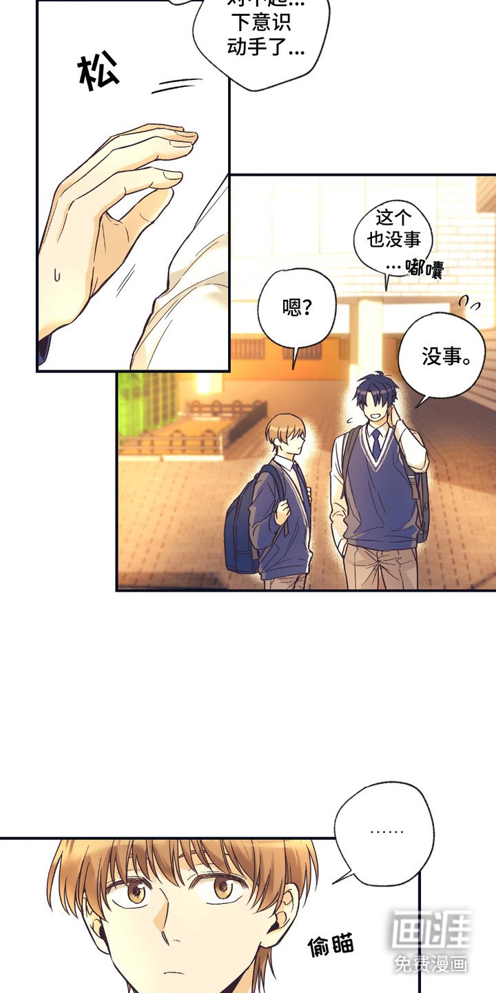 第5章：身体结实