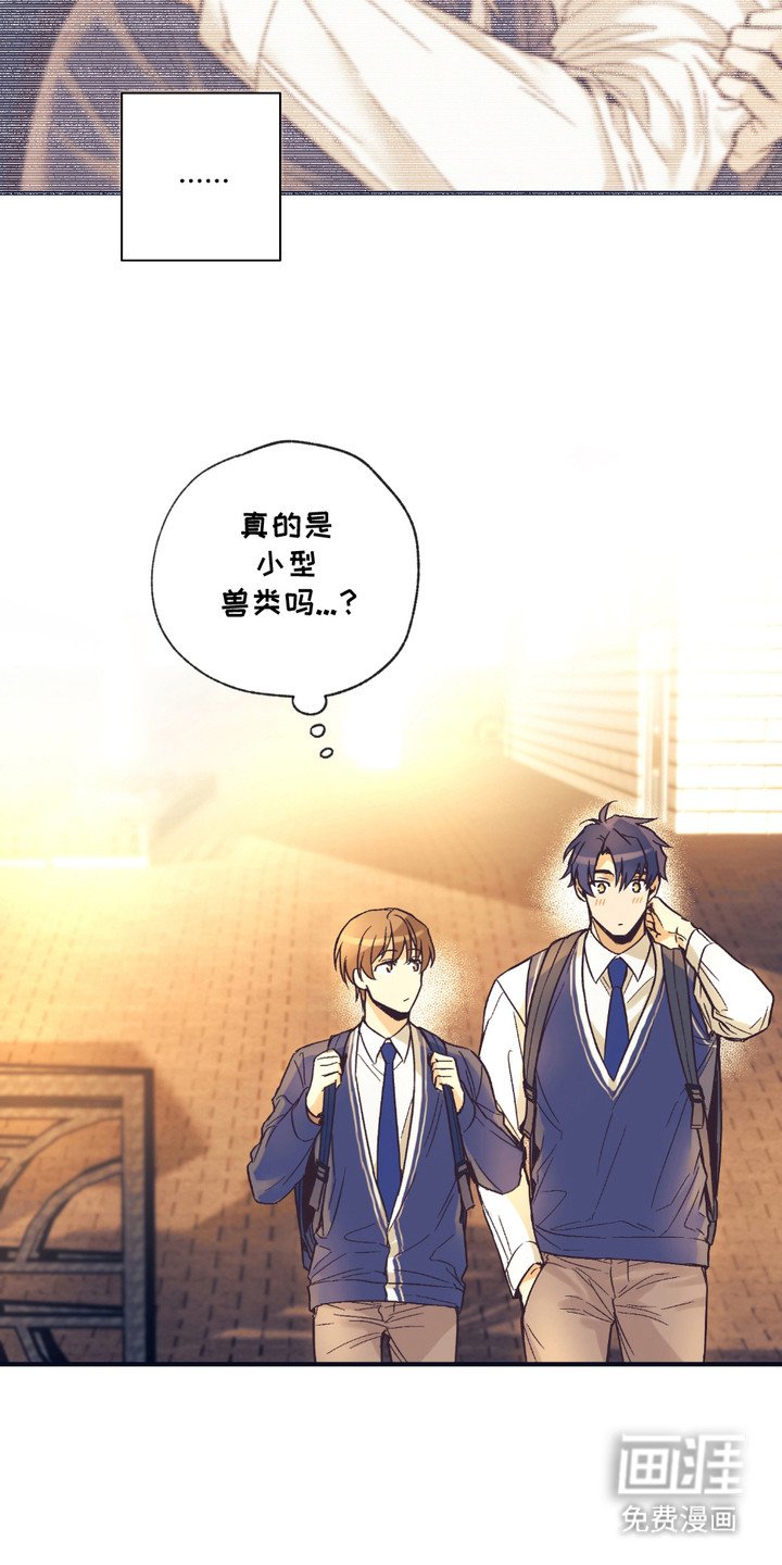 第5章：身体结实
