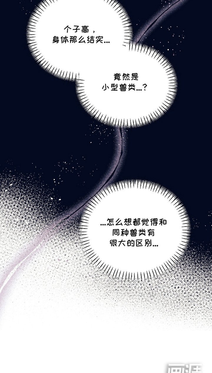 第5章：身体结实