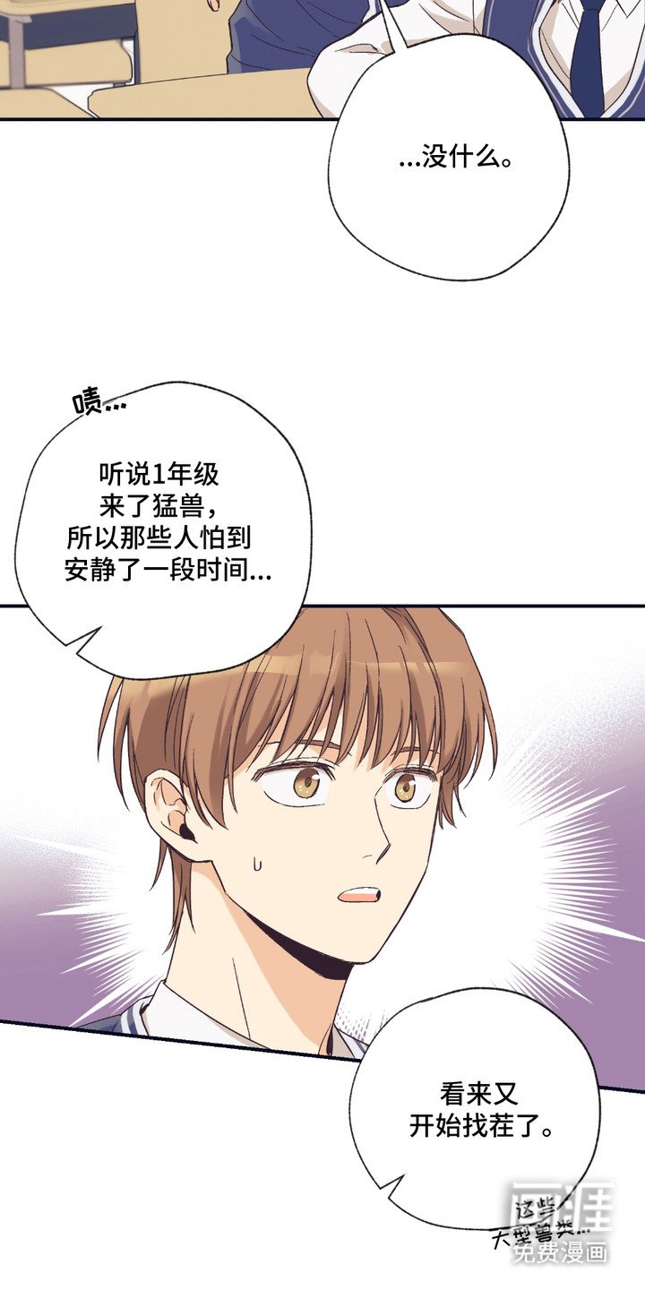 第8章：猛兽