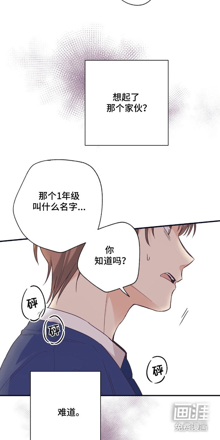 第8章：猛兽