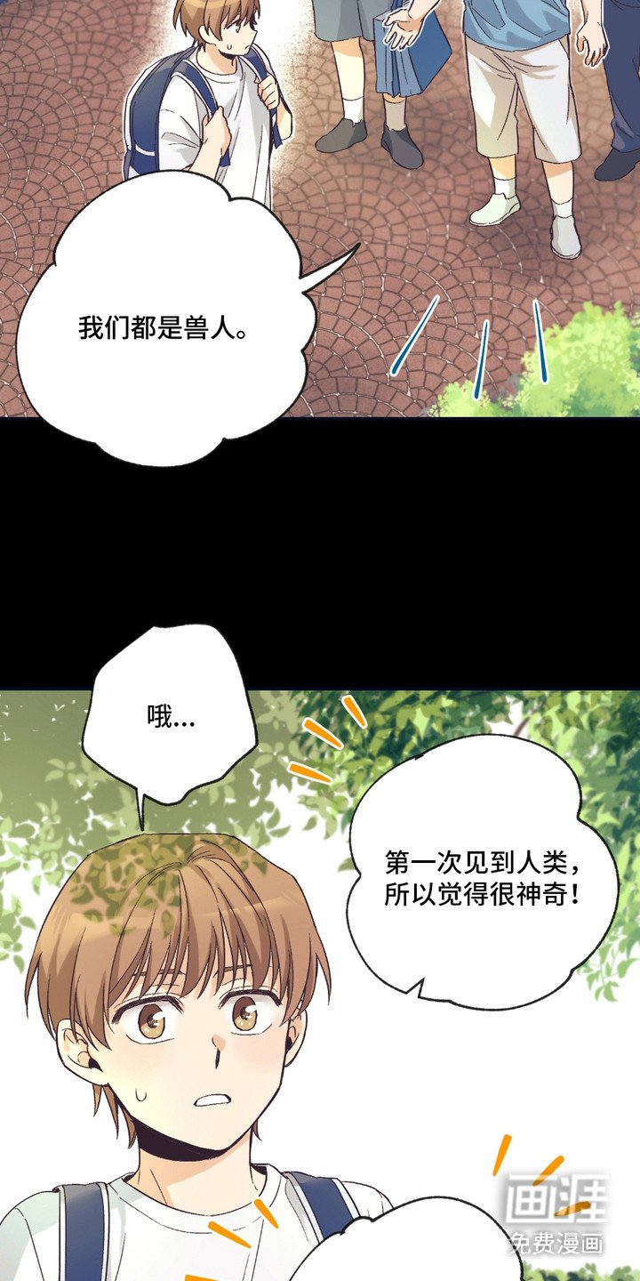 第8章：猛兽