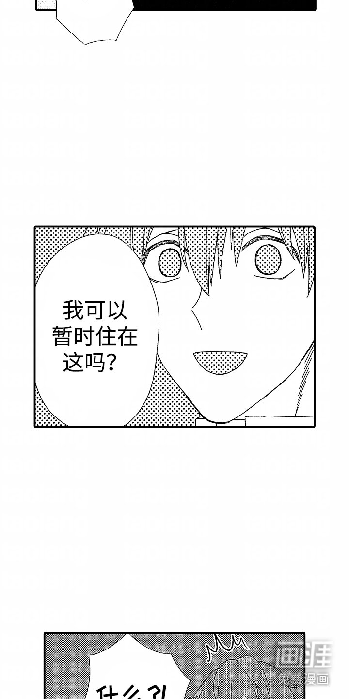 第3章：真面目