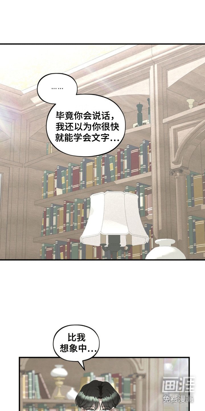 第13章：阅读