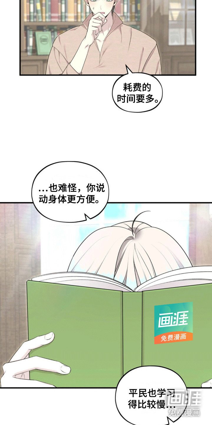 第13章：阅读