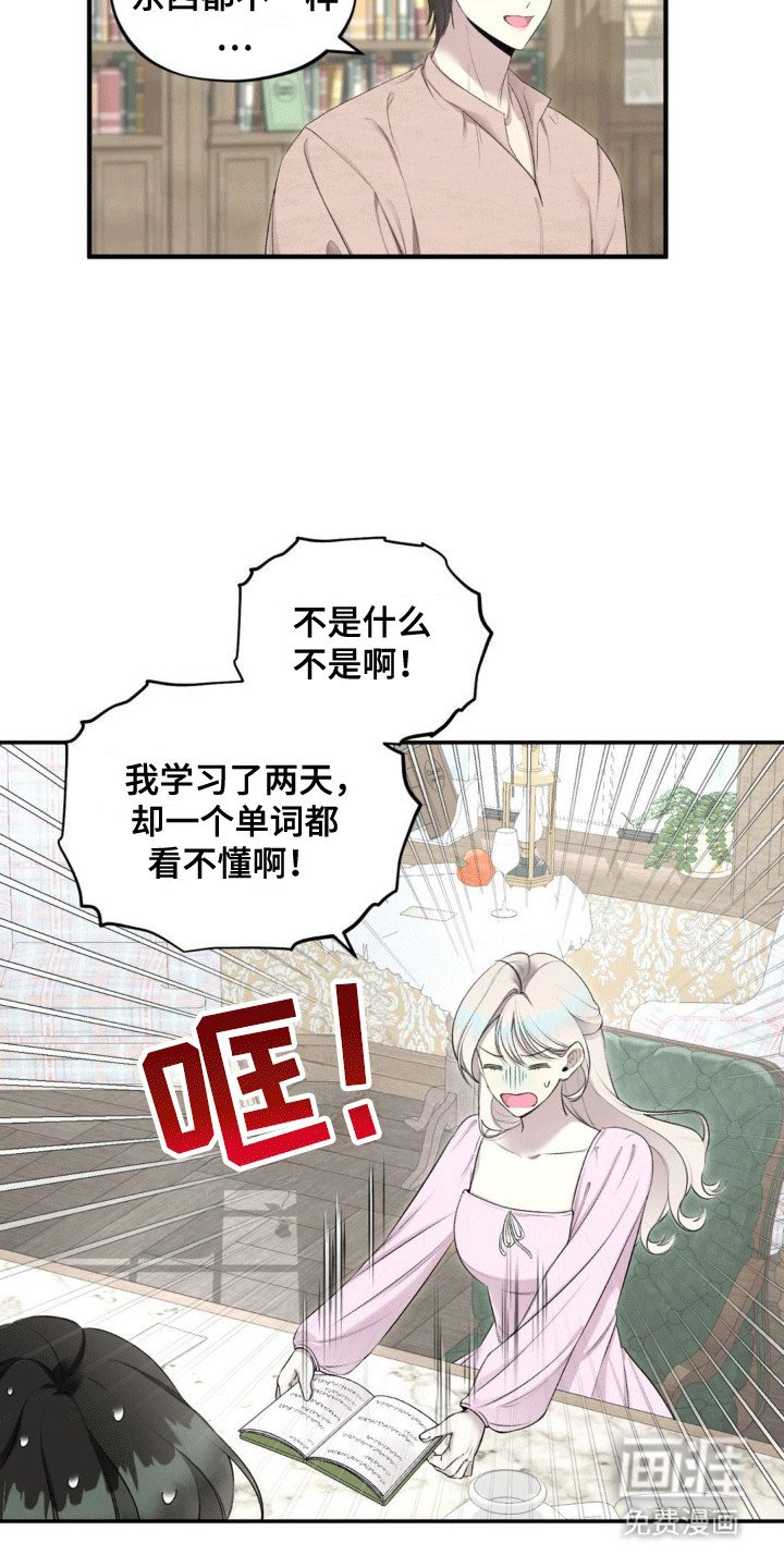 第13章：阅读