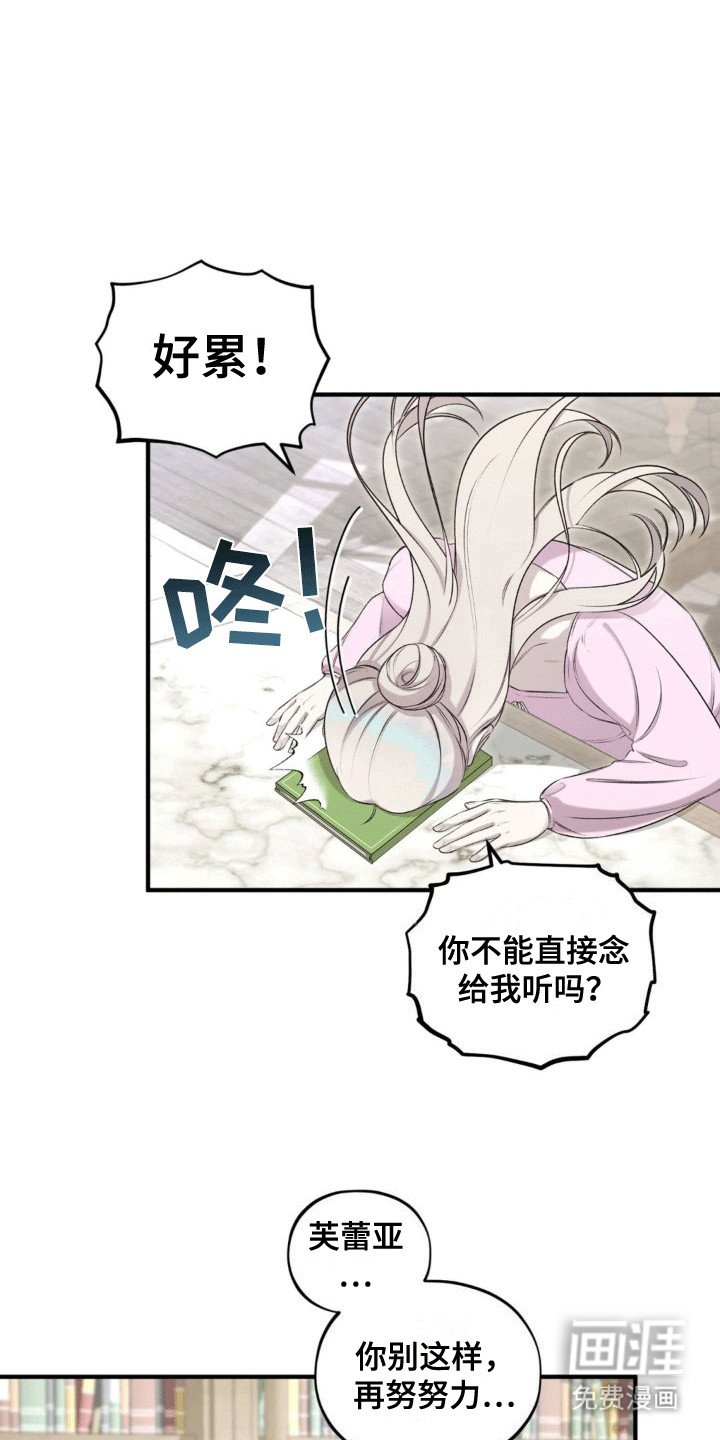 第13章：阅读