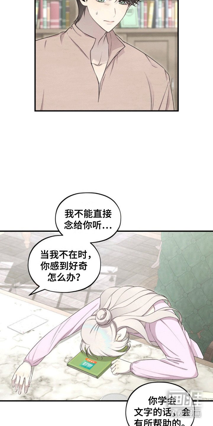 第13章：阅读