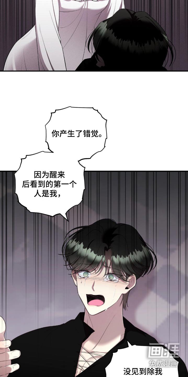 第17章：我的错觉