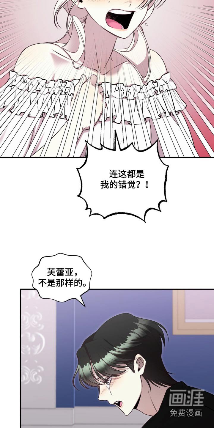 第17章：我的错觉