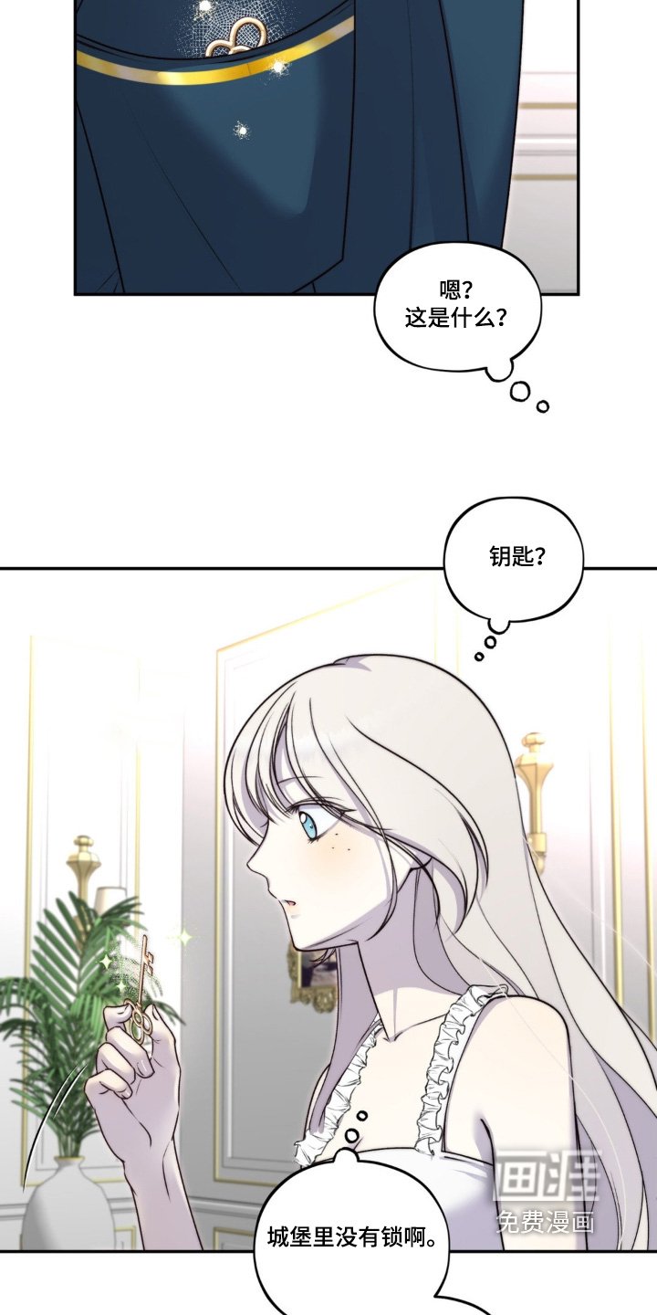 第29章：地下室