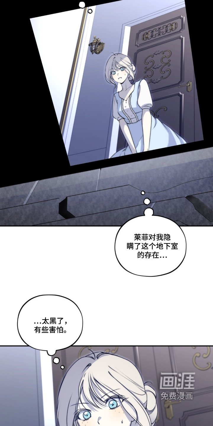 第29章：地下室