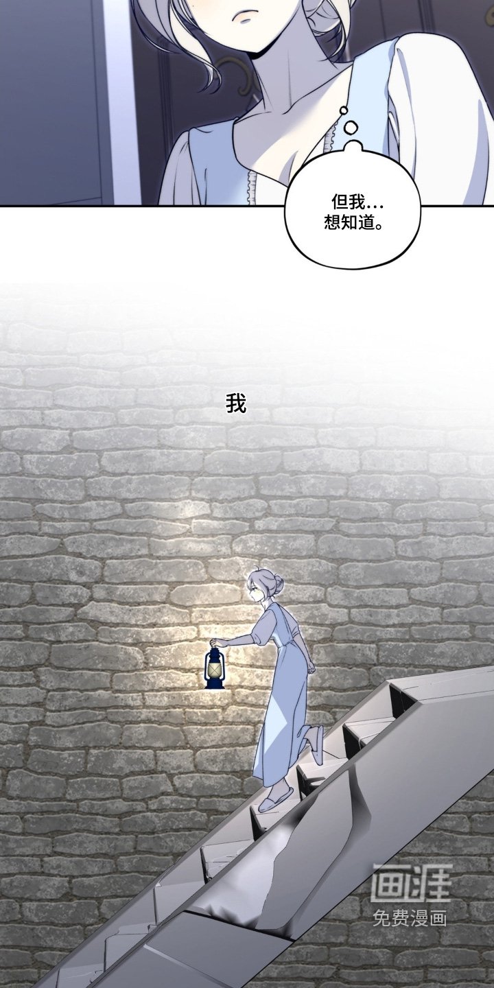 第29章：地下室