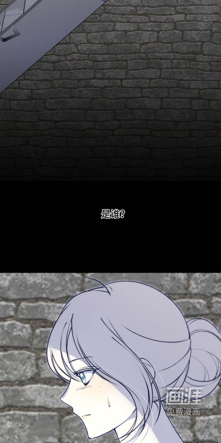 第29章：地下室