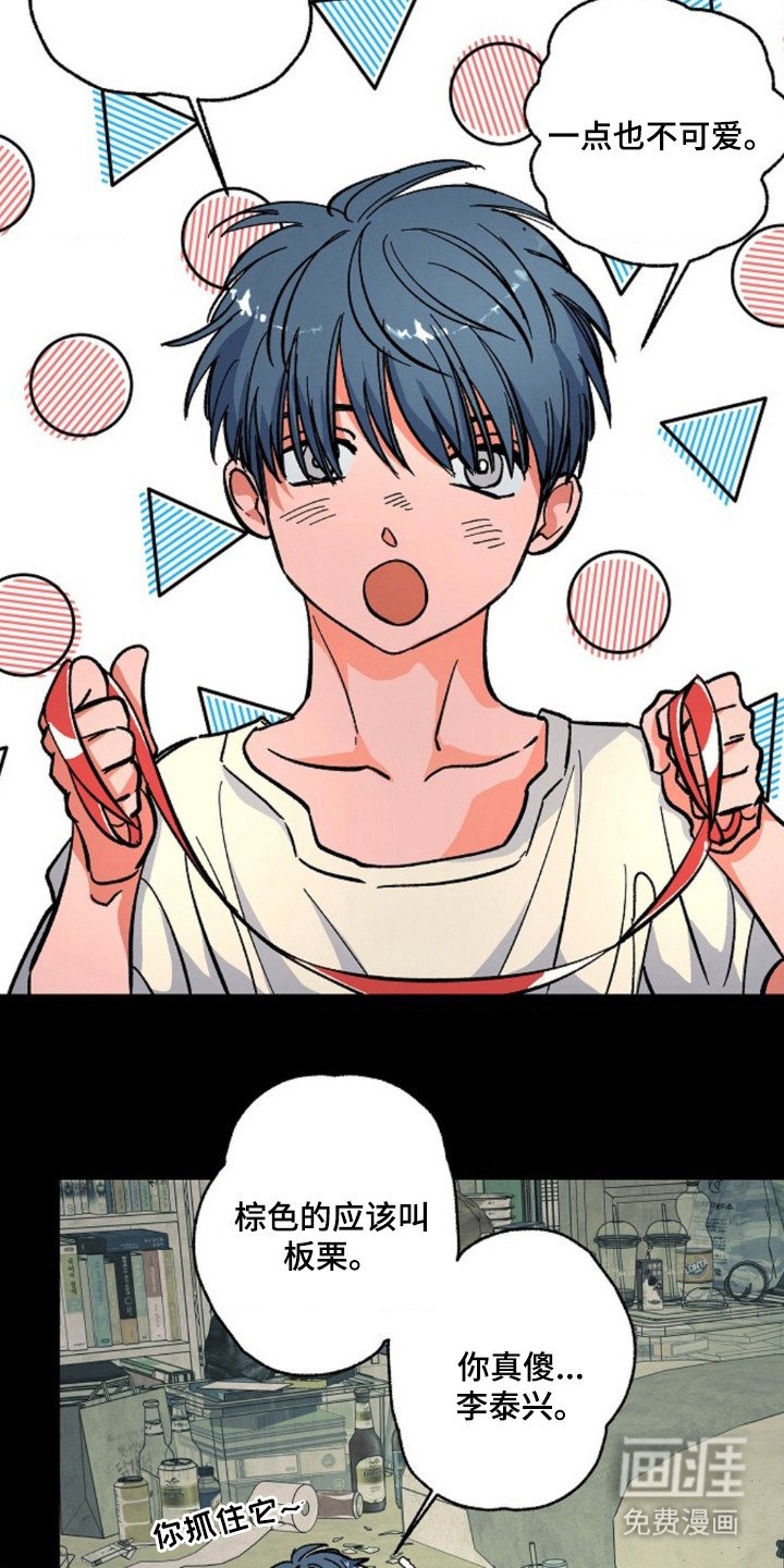 第12章：缩略图