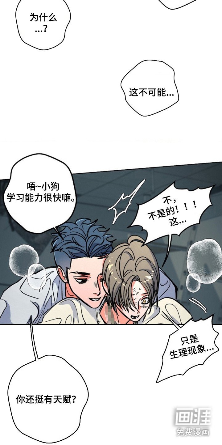 第12章：缩略图