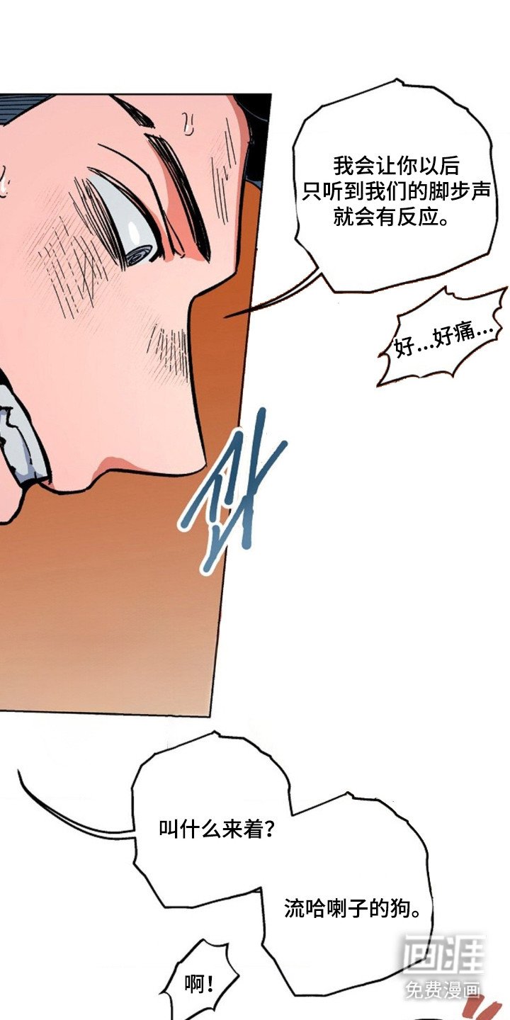 第12章：缩略图