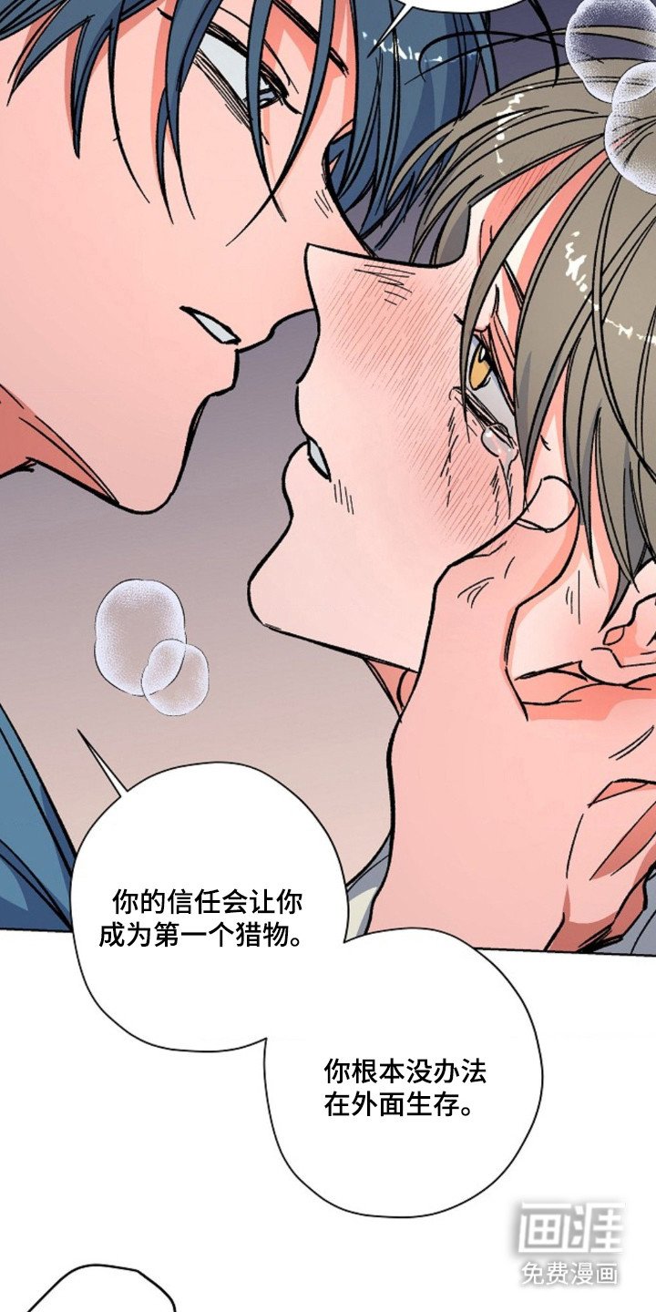 第13章：过于单纯