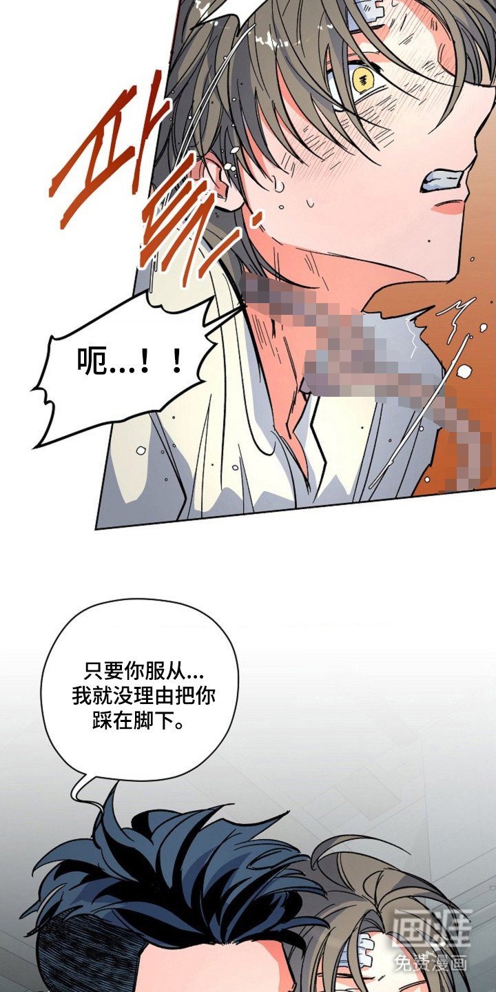 第15章：一起行动