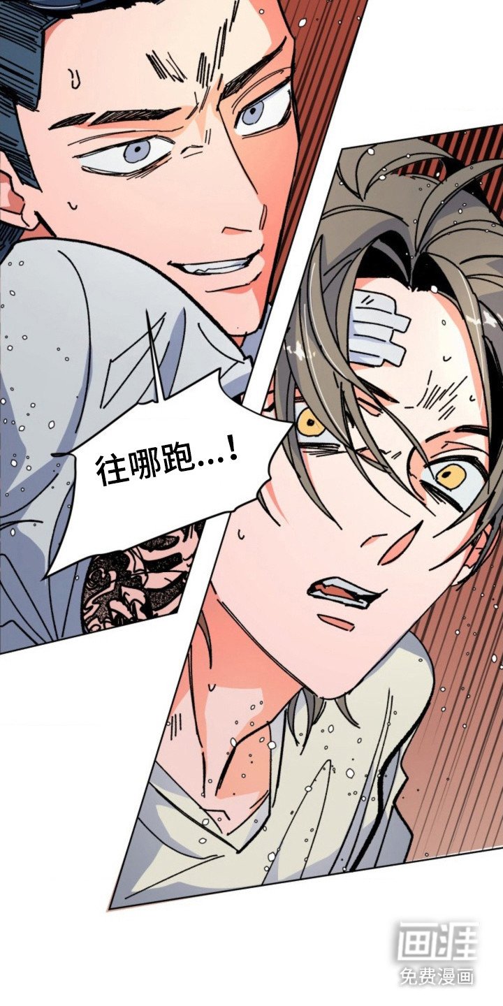 第16章：逃跑
