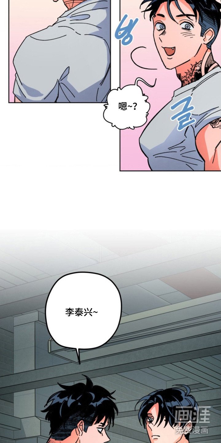 第24章：判断