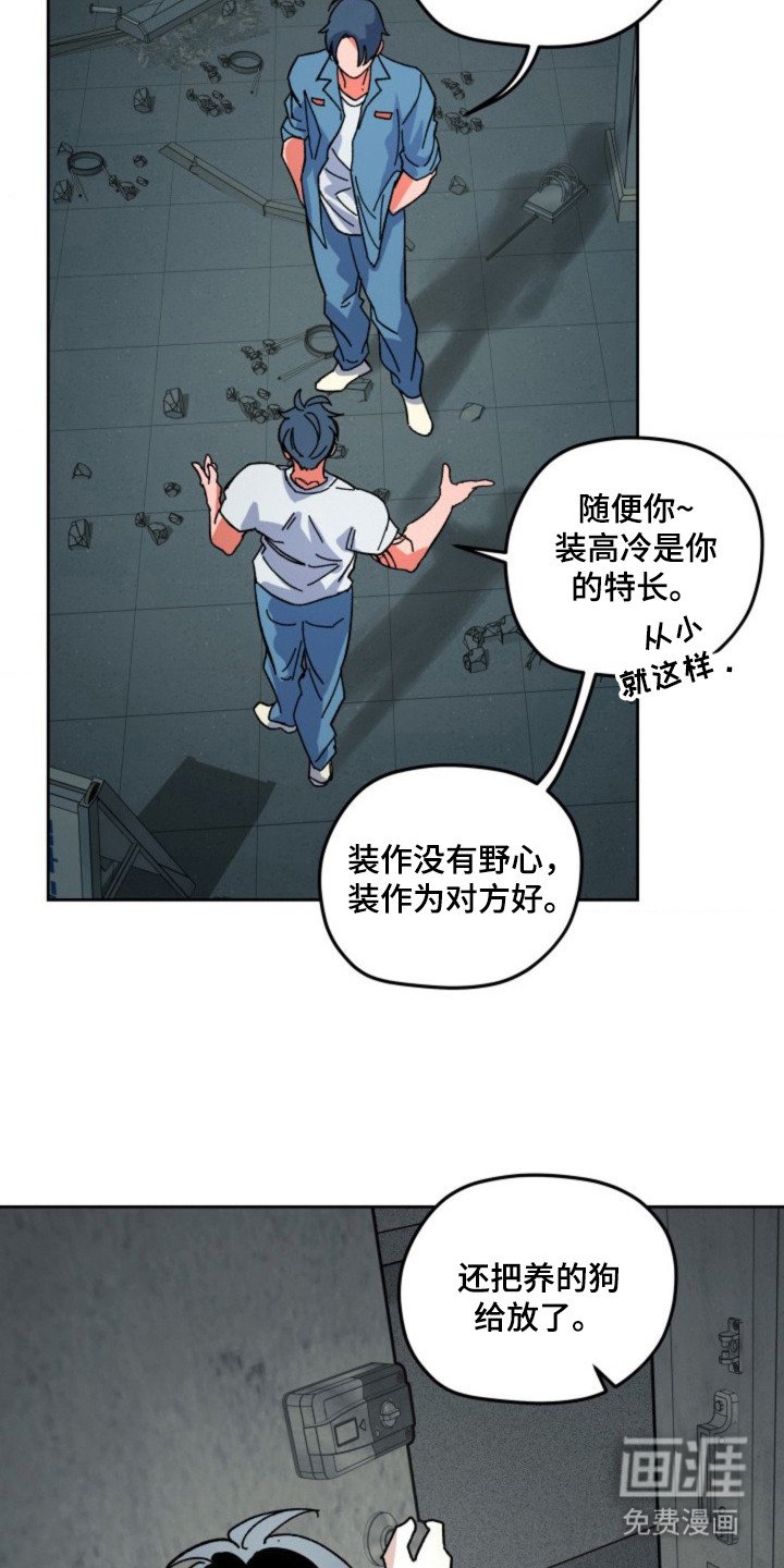 第24章：判断