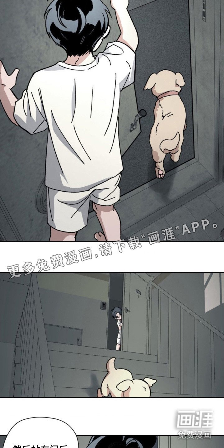 第24章：判断