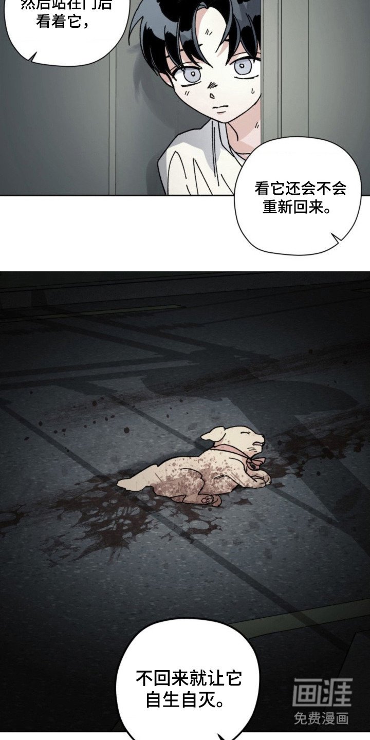 第24章：判断