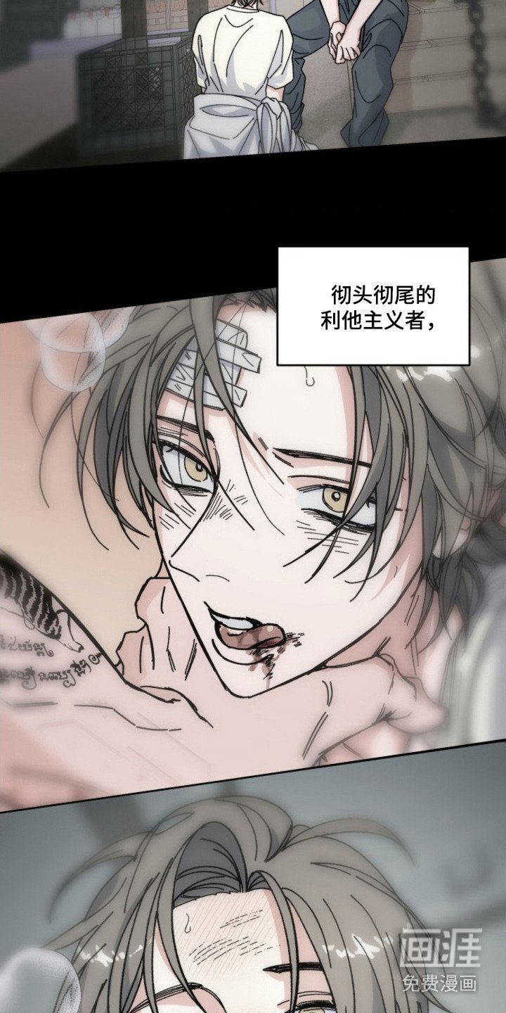 第24章：判断