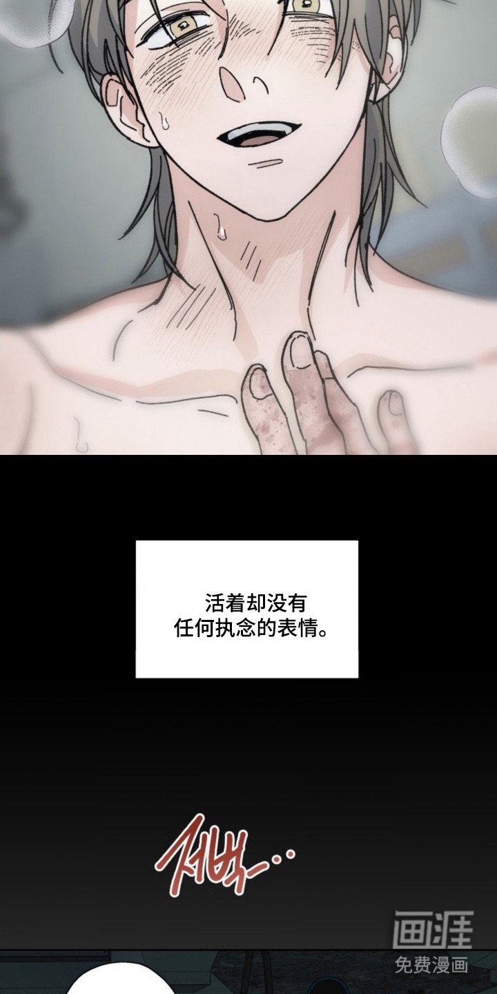第24章：判断
