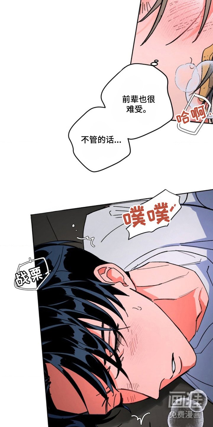 第26章：资格