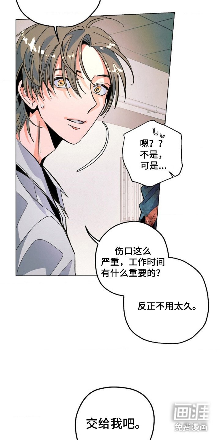 第3章：处理伤口